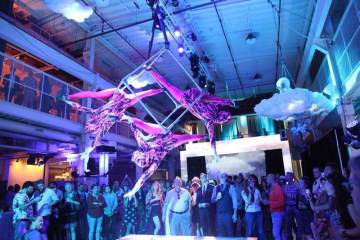 Lighting and Entertainment